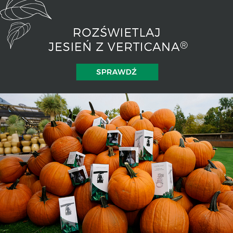 Rozświetlaj jesień z lampami VERTICANA®